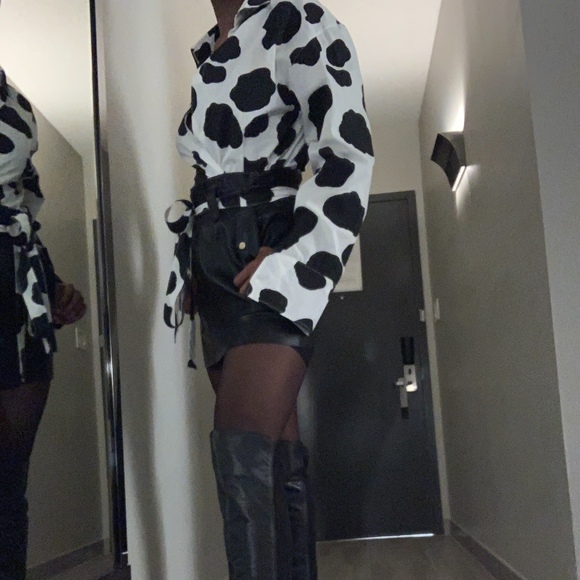 Meet your Posher, Dahlia - Picture 1 of 1